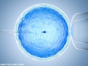 供卵代怀包男孩